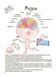 Як улаштоване моє тіло: книжка для дітей (і дорослих!) 8731 фото 4