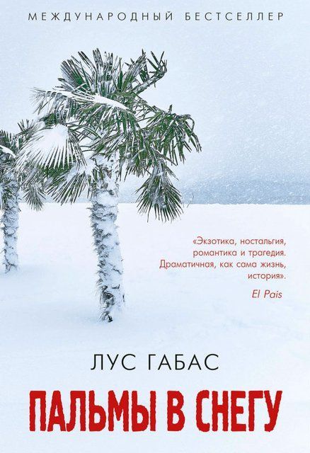 Пальмы в снегу 3355 фото