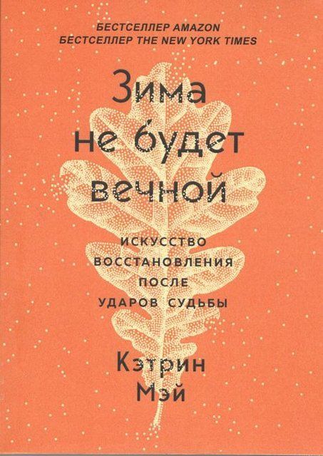 Зима не будет вечной. Искусство восстановления после ударов судьбы 3954 фото